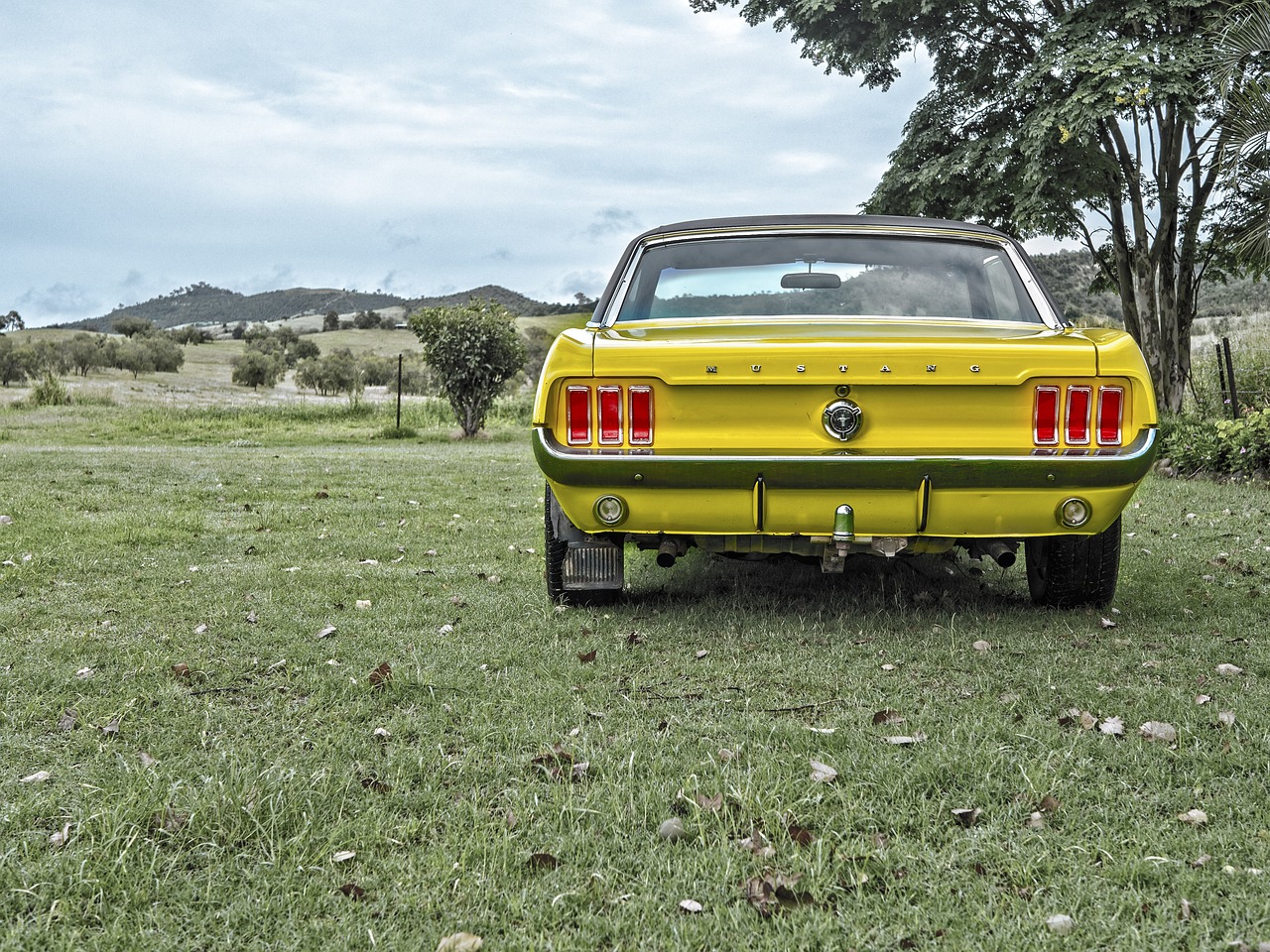 Timeless Design: What Makes the 1960s Ford Mustang a Rolling Masterpiece